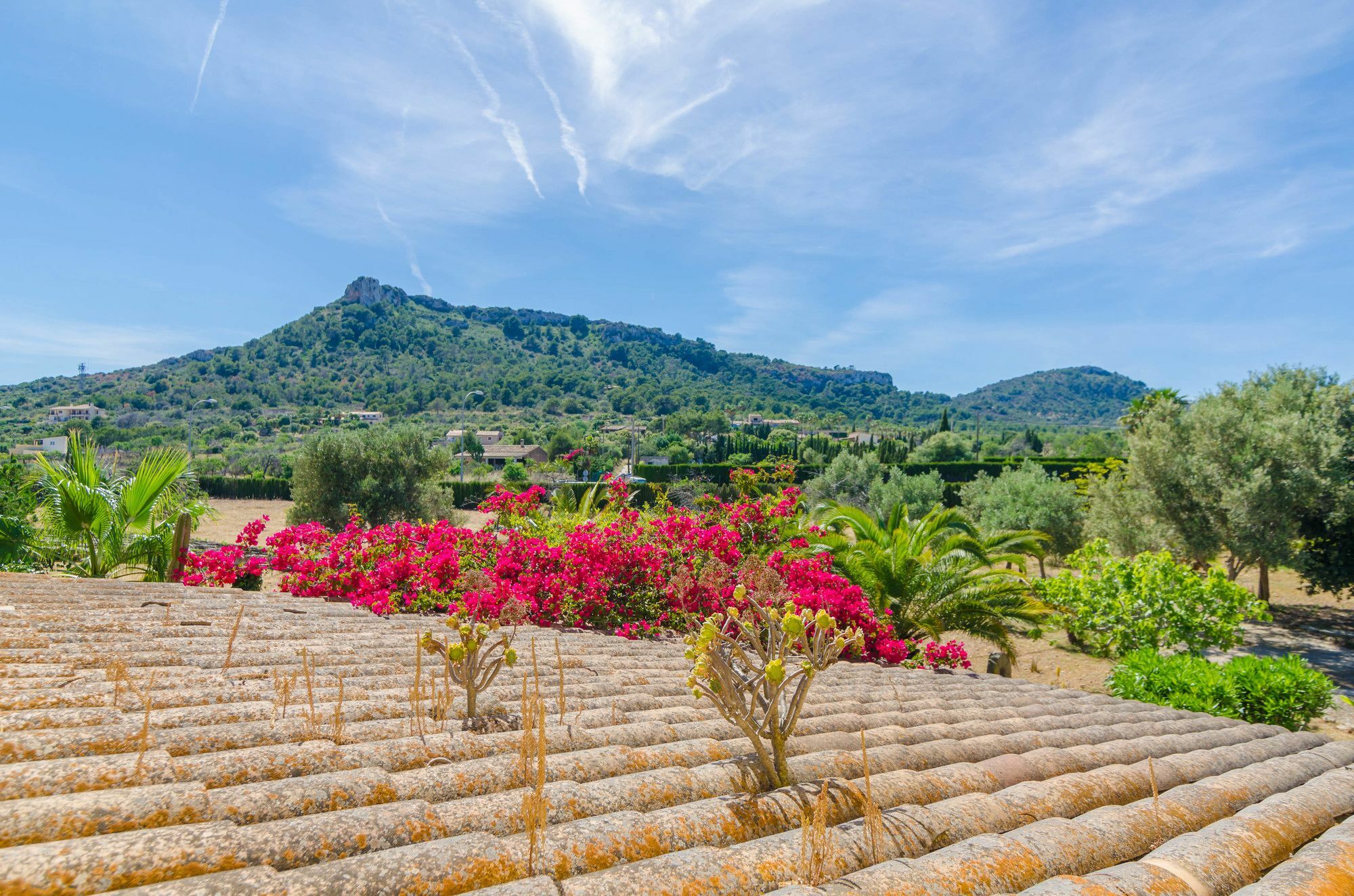Villa Ca S'hereu Son Servera (Mallorca)